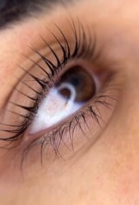 eye lashes up close